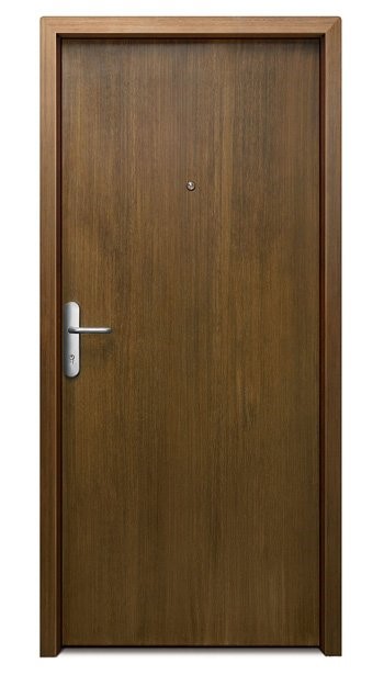 Steel Wooden Finish Door